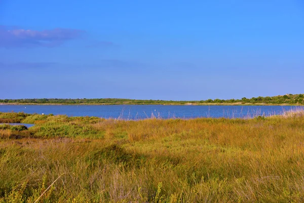 Vendicari Vahşi Yaşam Koruma Alanı, Syracuse 'un özgür belediye konsorsiyumu içinde yer alan korunan doğal bir alandır.