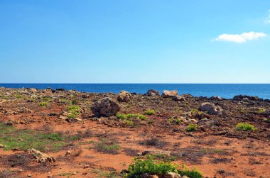Vendicari Vahşi Yaşam Koruma Alanı, Syracuse 'un özgür belediye konsorsiyumu içinde yer alan korunan doğal bir alandır.
