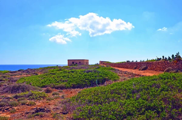 Vendicari Wildlife Reserve Είναι Μια Προστατευόμενη Φυσική Περιοχή Που Βρίσκεται — Φωτογραφία Αρχείου