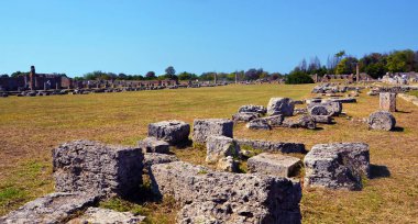 Paestum capaccio İtalya antik Yunan hakimiyetinin kalıntılarının kalıntıları.