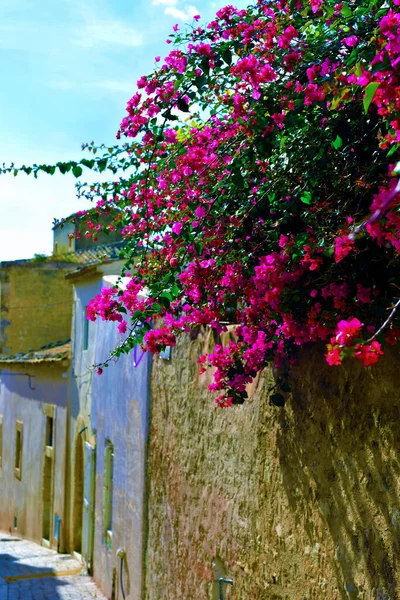 시칠리아섬의 역사적 중심지를 한눈에 수있다 — 스톡 사진