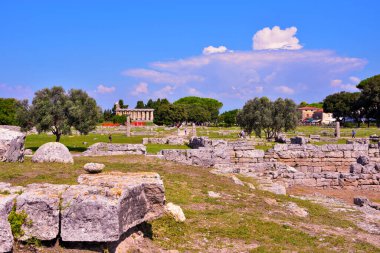 Paestum capaccio İtalya antik Yunan hakimiyetinin kalıntılarının kalıntıları.