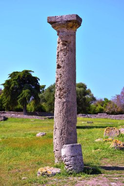 Paestum capaccio İtalya antik Yunan hakimiyetinin kalıntılarının kalıntıları.