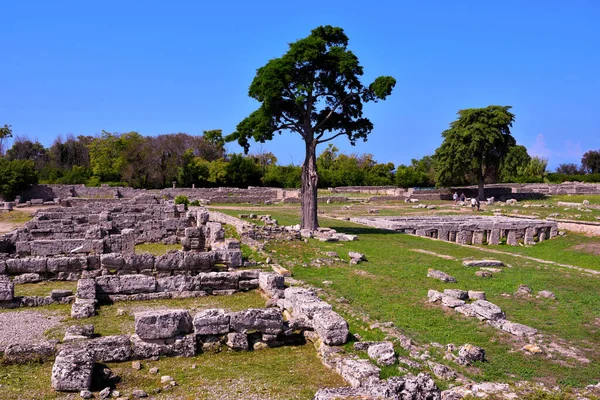 Paestum Capaccio Itália Ruínas Antigas Restos Edifícios Religiosos Antiga Dominação — Fotografia de Stock