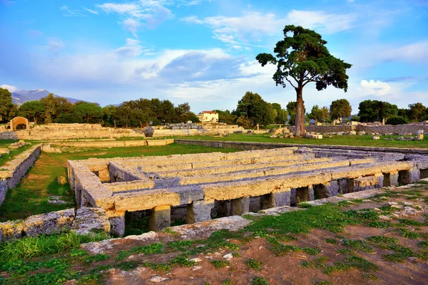 Paestum Capaccio Itália Ruínas Antigas Restos Edifícios Religiosos Antiga Dominação — Fotografia de Stock