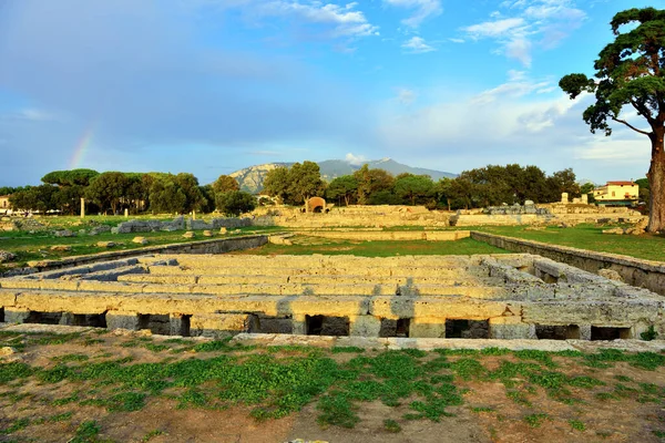 Paestum Capaccio Italia Las Antiguas Ruinas Restos Edificios Religiosos Antigua —  Fotos de Stock