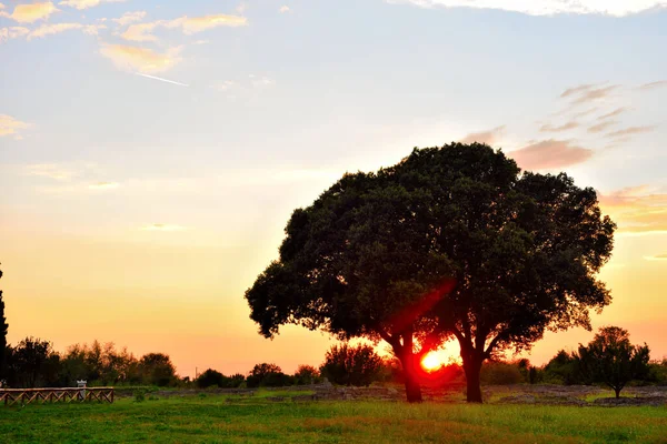 Sonnenuntergang Tal Der Antiken Ruinen Religiöser Gebäude Der Antiken Griechischen — Stockfoto