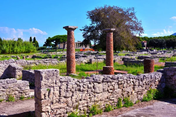 Paestum Capaccio Itália Ruínas Antigas Restos Edifícios Religiosos Antiga Dominação — Fotografia de Stock