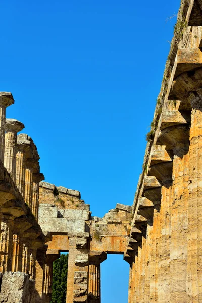 Templo Neptuno Fue Construido Orden Dórico Alrededor 460450 Paestum Italia —  Fotos de Stock
