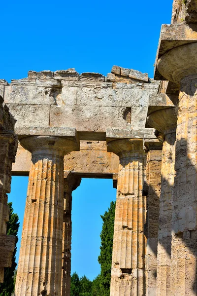 Neptün Tapınağı 460450 Civarında Doric Tarikatıyla Inşa Edildi — Stok fotoğraf