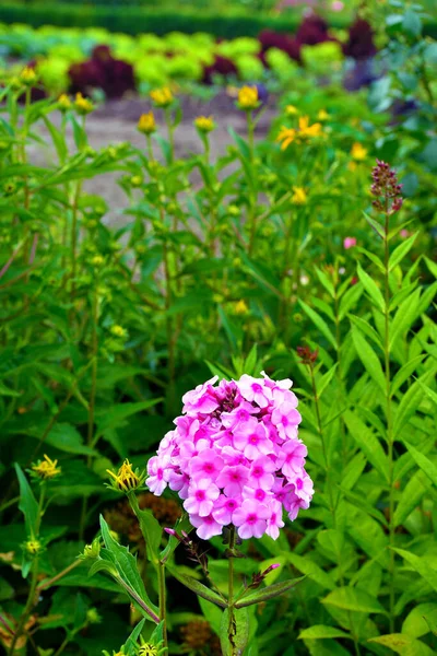 Giardino Corte Rinascimentale Accanto Palazzo Vescovile Bressanone Italia — Foto Stock