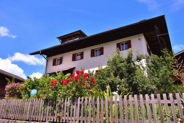 İtalya 'nın güneyindeki Val di Funes' da çiçekler