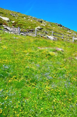 Rodella Gölü yolu üzerindeki panorama, Velturno, 2196 metre alto adial İtalya