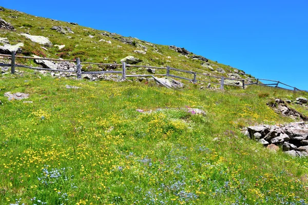 Rodella Gölü yolu üzerindeki panorama, Velturno, 2196 metre alto adial İtalya