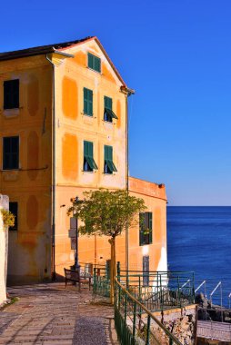 Bogliasco Genoa İtalya köyündeki karakteristik renkli evler