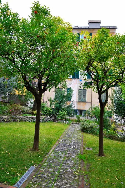 Garden Church Santa Maria Castello Genoa Italy —  Fotos de Stock