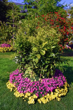 Euroflora çiçeğin bir sergisi ve süs bitkisi Akdeniz ve dünyanın nervi Parks Ceneviz İtalya 'sında yer alan başlıca çiçek sergilerinden biri.