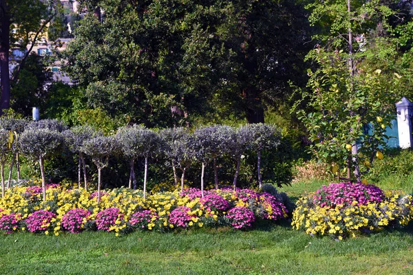 Euroflora Utställning Blomman Och Prydnadsväxt Viktigaste Blommiga Utställningar Som Äger — Stockfoto