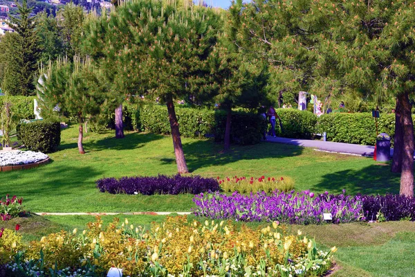 Euroflora Exhibition Flower Ornamental Plant One Main Floral Exhibitions Taking — Zdjęcie stockowe