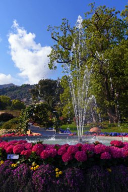 Euroflora çiçeğin bir sergisi ve süs bitkisi Akdeniz ve dünyanın nervi Parks Ceneviz İtalya 'sında yer alan başlıca çiçek sergilerinden biri.