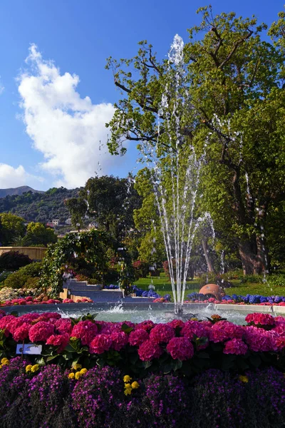 Euroflora çiçeğin bir sergisi ve süs bitkisi Akdeniz ve dünyanın nervi Parks Ceneviz İtalya 'sında yer alan başlıca çiçek sergilerinden biri.