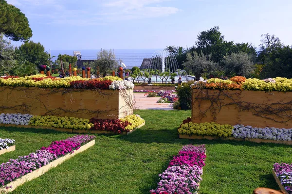 Euroflora Nervi Parky Květinová Zahrada Genoa Itálie — Stock fotografie