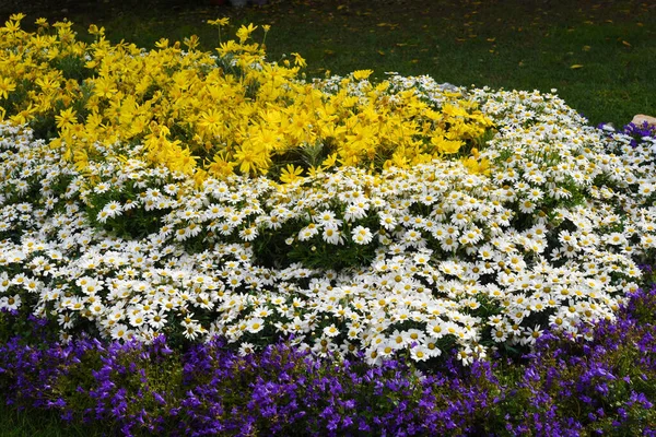 euroflora nervi parkları, çiçek bahçesi genoa italy