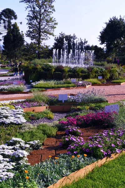 Euroflora Nervi Parks Flower Garden Genoa Italy — Stok fotoğraf