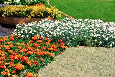 nervi parkları, çiçek bahçesi genoa italy