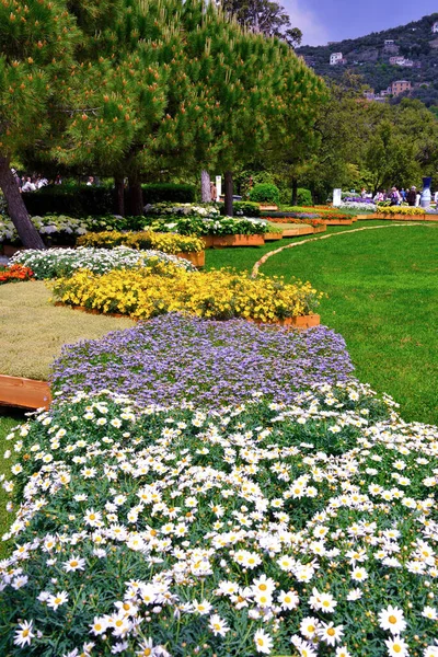 Euroflora Exhibition Flower Ornamental Plant One Main Floral Exhibitions Taking — Stock Photo, Image