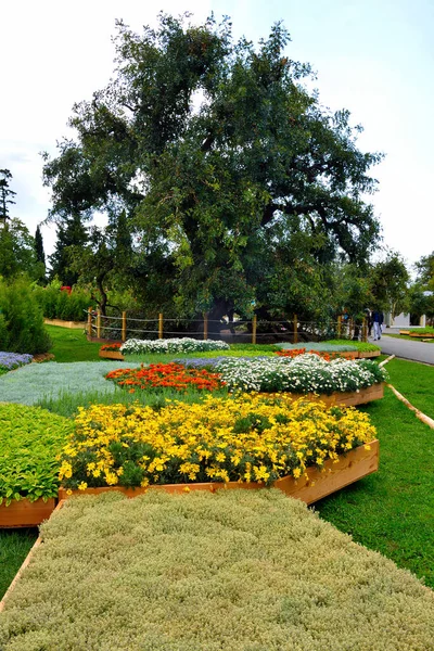 Euroflora nervi parkları Ceneviz İtalya