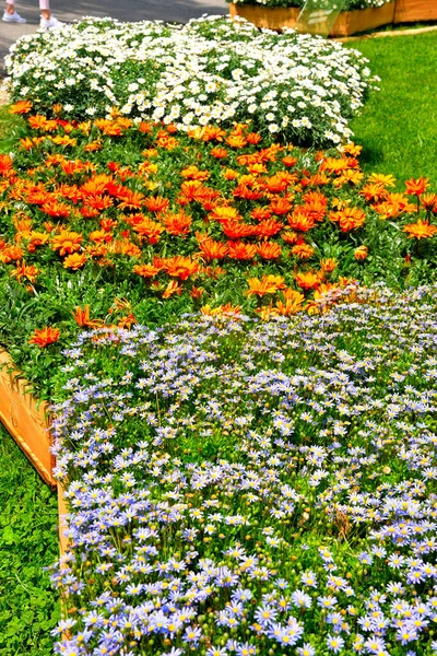 Сад Парків Euroflora Nervi Genoa Italy — стокове фото