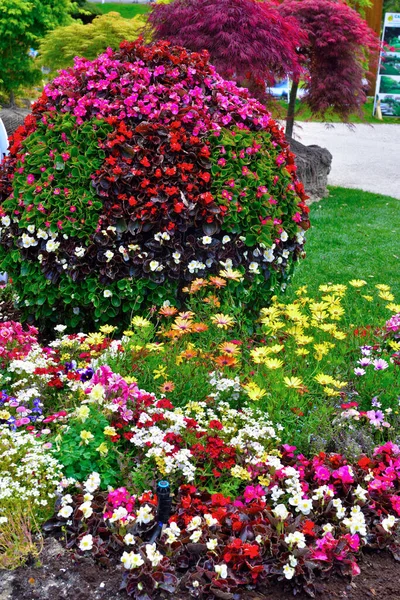 Euroflora Nervi Parken Tuin Genua Italië — Stockfoto