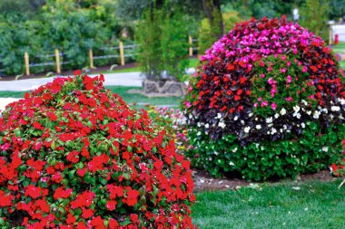 Euroflora nervi parkları Ceneviz İtalya