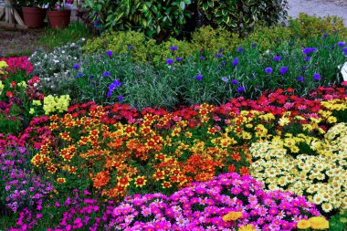 Euroflora nervi parkları Ceneviz İtalya