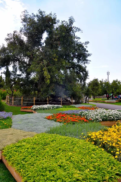 Euroflora Nervi Parks Garden Genoa Italy — Stock fotografie