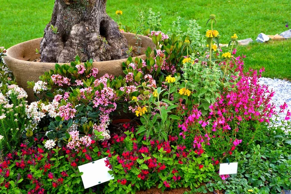 Euroflora Nervi Parks Garden Genoa Italy — Stock Photo, Image