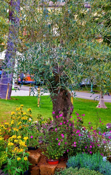 Euroflora Nervi Parks Garden Genoa Italy — Stock Photo, Image