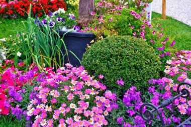 Euroflora nervi parkları Ceneviz İtalya