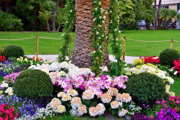 Euroflora Nervi Parks Garden Genoa Italy — стоковое фото