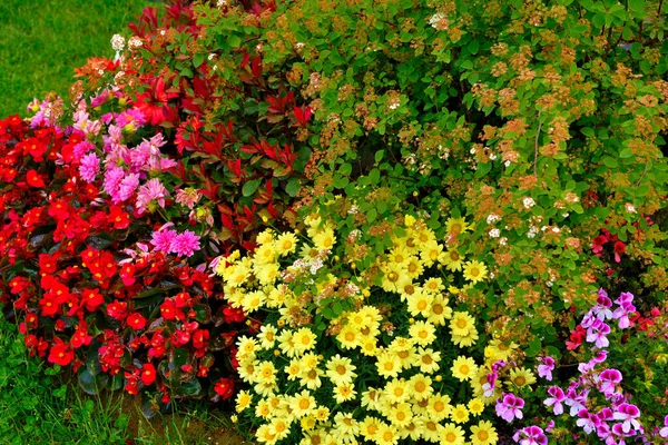 Euroflora Nervi Parken Tuin Genua Italië — Stockfoto