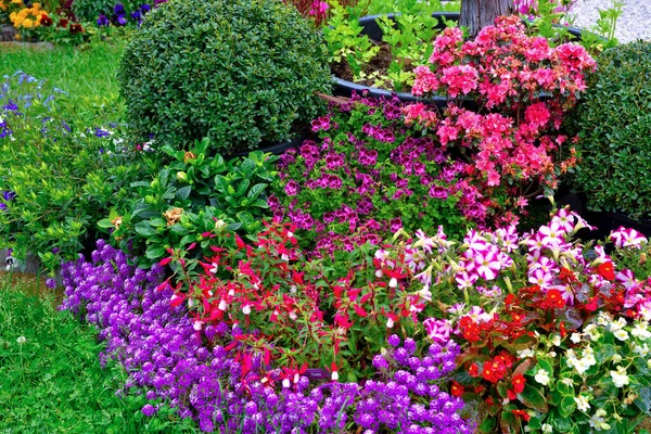 제노바에 정원을 만들다 — 스톡 사진