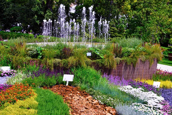 Euroflora Nervi Parks Garden Genoa Italy — Stock Photo, Image