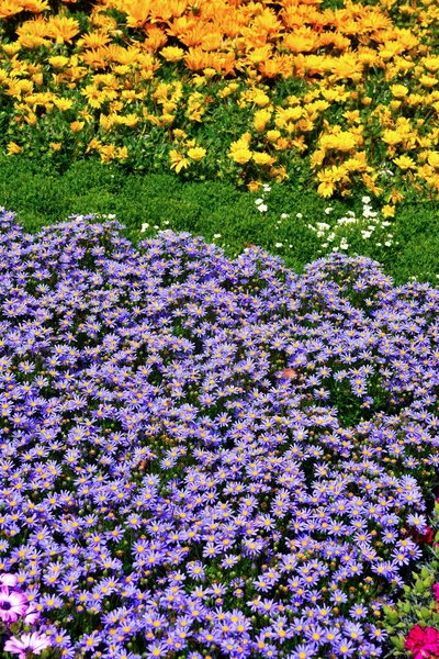 Euroflora Nervi Parken Tuin Genua Italië — Stockfoto