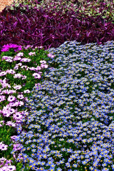 Euroflora Nervi Parks Garden Genoa Italy — Stockfoto