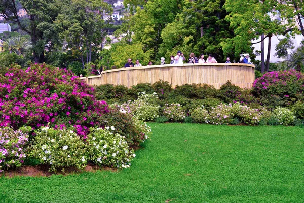 Euroflora Exhibition Flower Ornamental Plant One Main Floral Exhibitions Taking — Stock Photo, Image