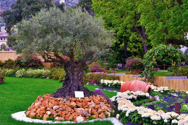 Euroflora Nervi Parky Zahrada Janov Itálie — Stock fotografie