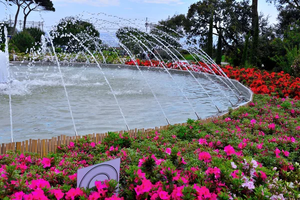 Euroflora Nervi Parky Zahrada Janov Itálie — Stock fotografie