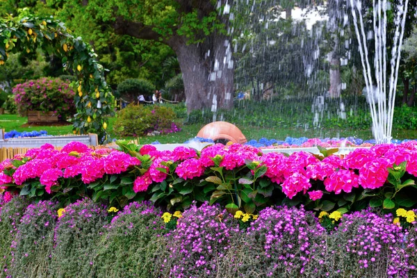 Euroflora Nervi Parques Jardim Génova Itália — Fotografia de Stock