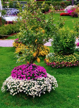 Euroflora nervi parks garden Genoa Italy